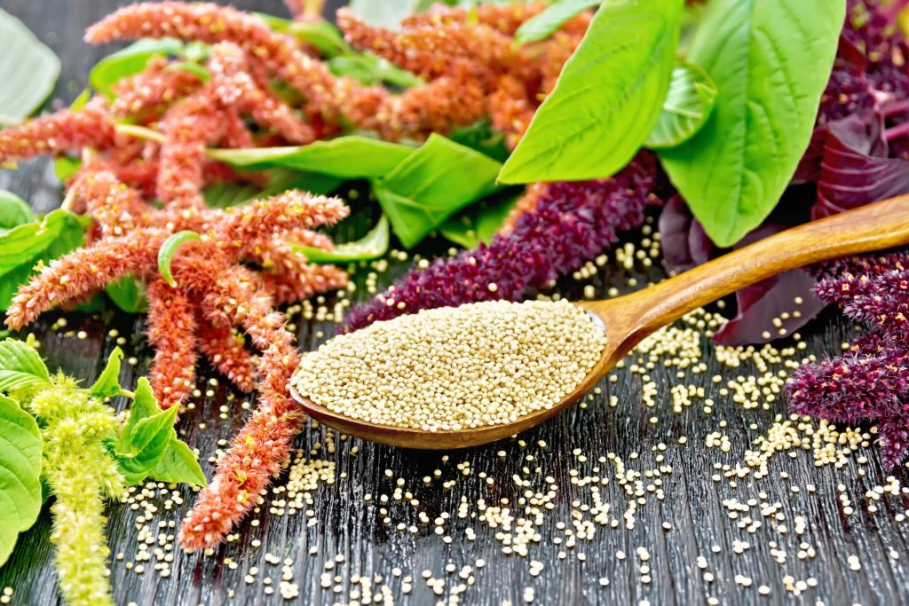 Nutrition of Amaranth Seeds: A Superfood for Wellbeing and Health ...