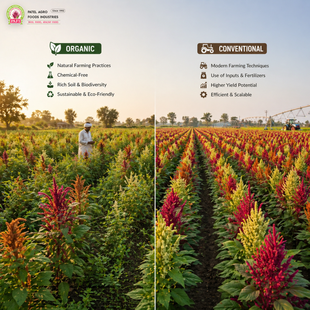 Organic vs conventional amaranth seeds comparison guide for importers