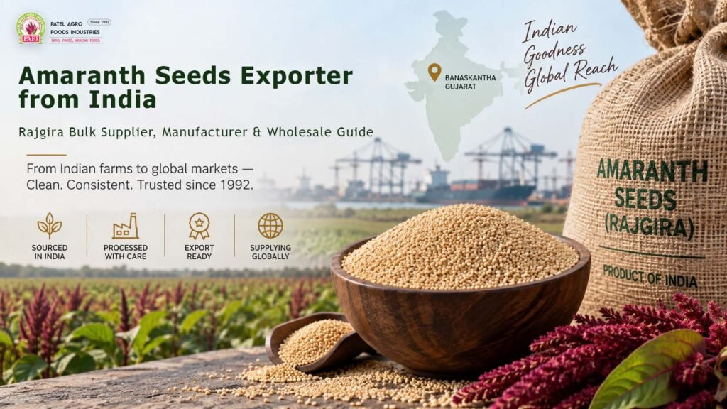 Bulk amaranth seeds sourced and processed in India
