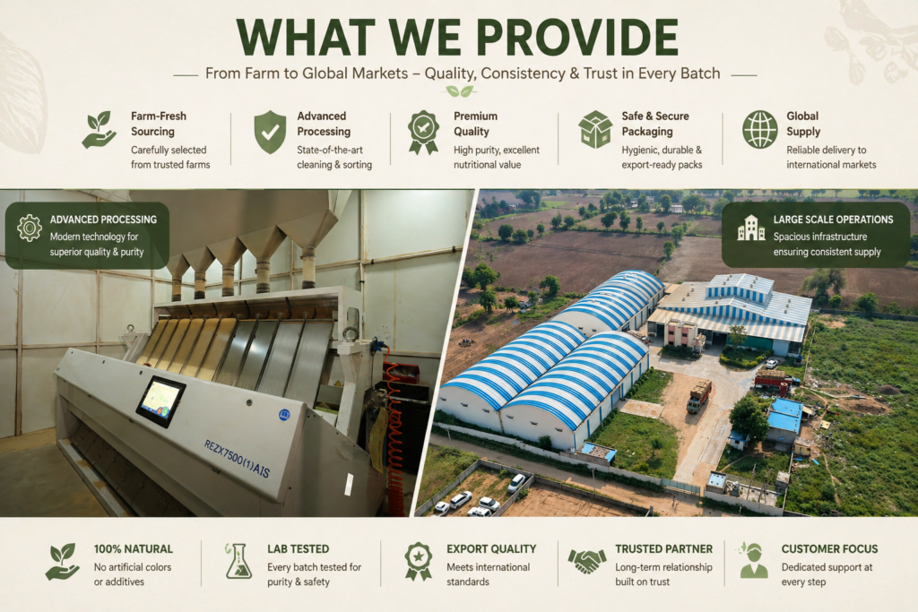 Amaranth seeds processing and optical sorting at an Indian export facility
