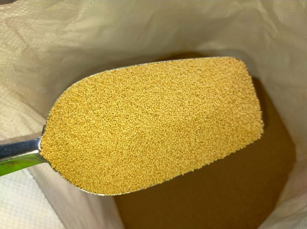 Bulk Rajgira amaranth seeds prepared for export from India