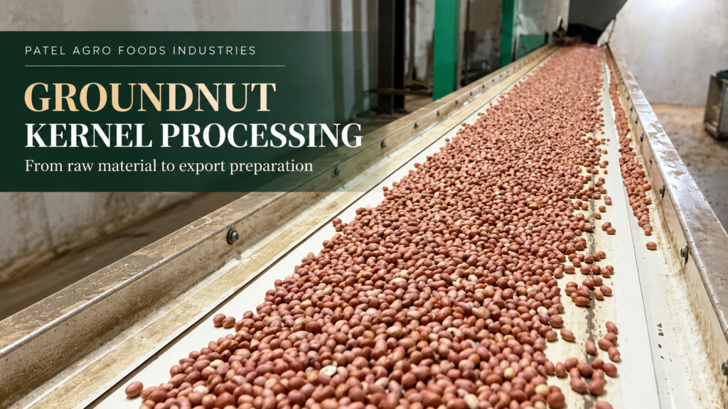 Groundnut kernels moving along a conveyor during processing